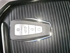2020 Geely Okavango 1.8TD DCT Luxury 7-seat — фото 9