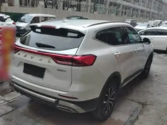 2023 Haval H6 1.5T AT Guochao Urban, белый — фото 7