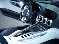 2019 Mercedes-Benz AMG GT C Roadster — фото 42