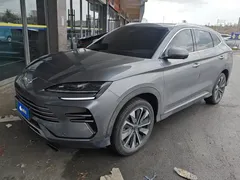 2025 BYD Song PLUS PHEV DM-i 160km Flagship — фото 1