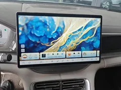2025 BYD Song PLUS PHEV DM-i 160km Flagship — фото 13