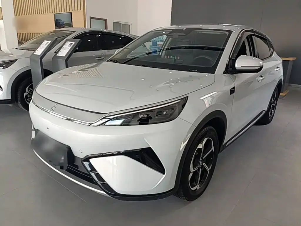 2025 BYD Yuan PLUS Smart Driving 510km Leading