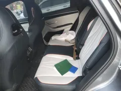 2023 BYD Song PLUS DM-i PHEV 110km Flagship Champion — фото 13