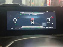 2024 BYD Qin L PHEV 120KM Exceed — фото 14