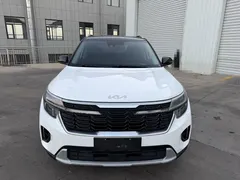 2023 Kia Seltos 1.5L CVT Luxury, белый — фото 13