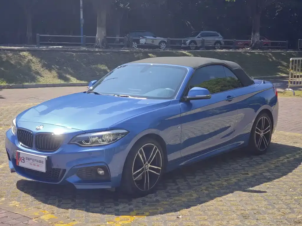 2019 BMW 2 Series 225i Convertible Premium M Sport Package