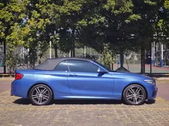 2019 BMW 2 Series 225i Convertible Premium M Sport Package, синий — фото 7