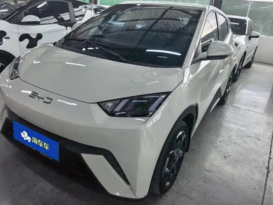 2024 BYD Seagull EV 305km Honor Freedom