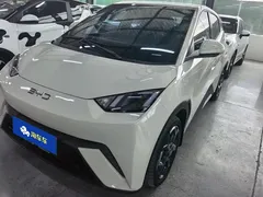 2024 BYD Seagull EV 305km Honor Freedom — фото 1
