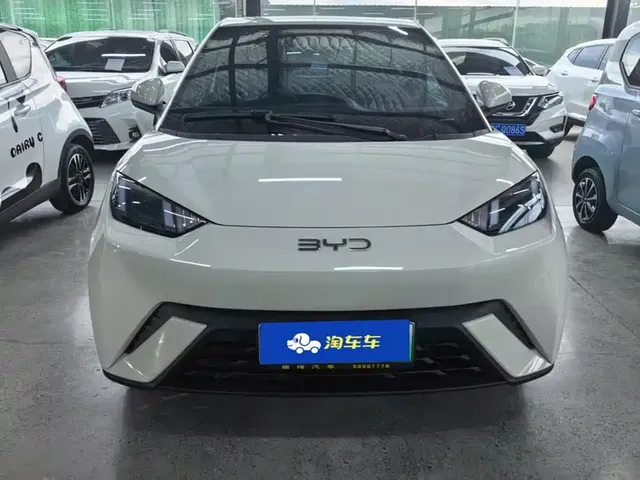 2024 BYD Seagull EV 305km Honor Freedom