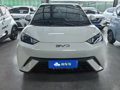 2024 BYD Seagull EV 305km Honor Freedom — фото 2