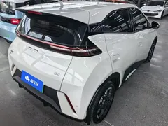 2024 BYD Seagull EV 305km Honor Freedom — фото 3