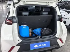 2024 BYD Seagull EV 305km Honor Freedom — фото 4