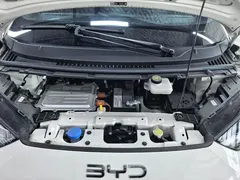 2024 BYD Seagull EV 305km Honor Freedom — фото 10