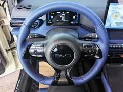 2024 BYD Seagull EV 305km Honor Freedom — фото 15