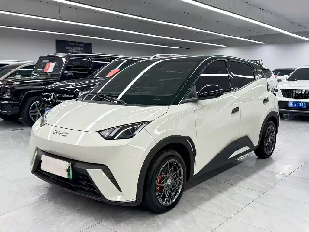 2025 BYD Seagull 305km Vitality