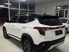 2023 Kia Seltos 1.5L CVT Luxury, белый — фото 5
