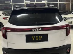 2023 Kia Seltos 1.5L CVT Luxury, белый — фото 6