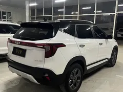2023 Kia Seltos 1.5L CVT Luxury, белый — фото 7