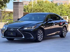 2020 Lexus ES 200 Excellence, чёрный — фото 1