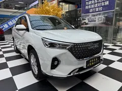 2021 Haval M6 Plus 1.5T DCT Luxury, белый — фото 1