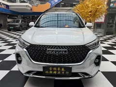 2021 Haval M6 Plus 1.5T DCT Luxury, белый — фото 2