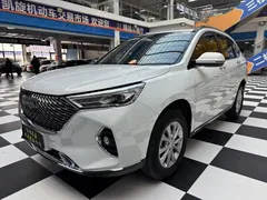 2021 Haval M6 Plus 1.5T DCT Luxury, белый — фото 3
