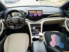 2024 BYD Song PLUS Honor Edition EV 520km Premium — фото 10