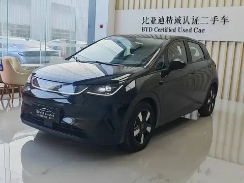 2025 BYD Dolphin Smart Driving 410km Fashion