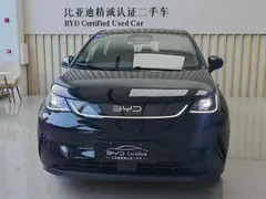 2025 BYD Dolphin Smart Driving 410km Fashion, чёрный — фото 2
