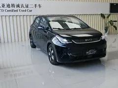2025 BYD Dolphin Smart Driving 410km Fashion, чёрный — фото 3