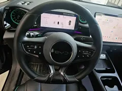 2025 BYD Dolphin Smart Driving 410km Fashion, чёрный — фото 10