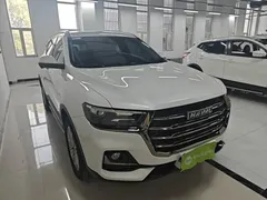 2021 Haval H6 1.5GDIT AT Guochao Champion, белый — фото 4