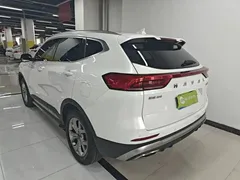 2021 Haval H6 1.5GDIT AT Guochao Champion, белый — фото 5