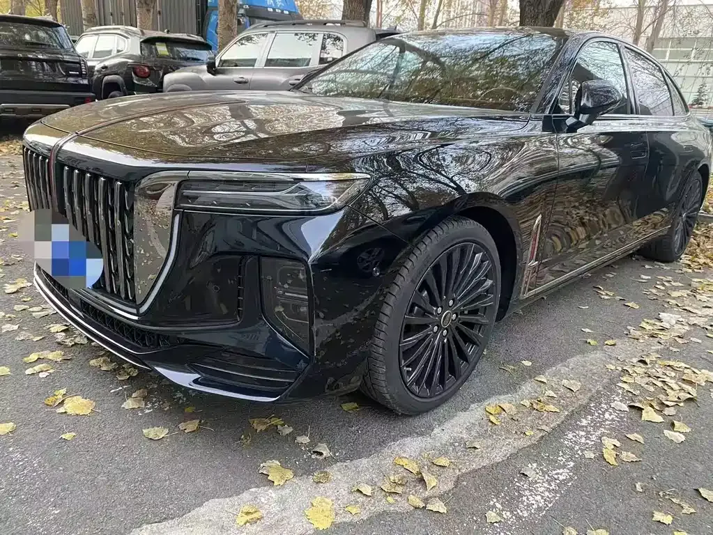 2025 Hongqi H9 2.0T 2WD Fashion 5-seat