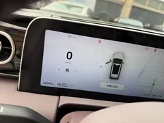 2023 Leapmotor C11 EV 500 Comfort — фото 7