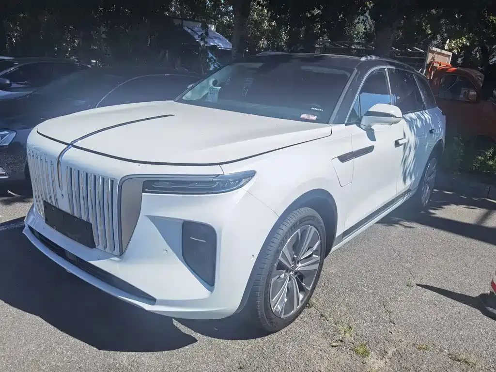 2022 Hongqi E-HS9 690km 6-seat
