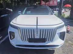 2022 Hongqi E-HS9 690km 6-seat, белый — фото 2