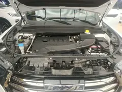 2021 Haval H6 1.5T AT Champion, белый — фото 20