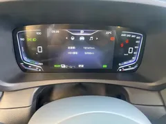 2024 Hongqi HQ9 2.0T 4WD Luxury — фото 9
