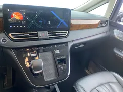 2024 Hongqi HQ9 2.0T 4WD Luxury — фото 10