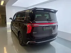 2024 Hongqi HQ9 2.0T 4WD Luxury — фото 13