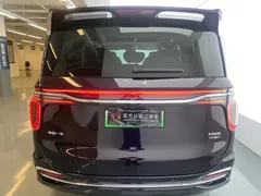 2024 Hongqi HQ9 2.0T 4WD Luxury — фото 14