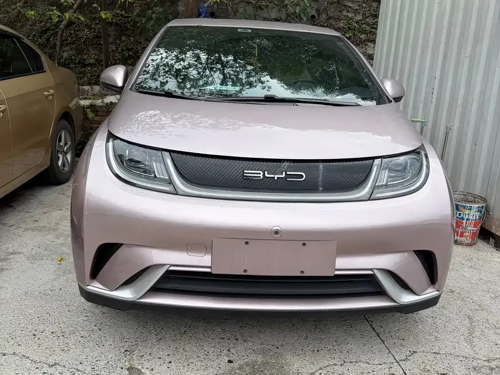 2021 BYD Dolphin EV 405km Freedom