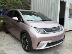 2021 BYD Dolphin EV 405km Freedom — фото 2