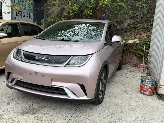 2021 BYD Dolphin EV 405km Freedom