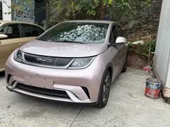 2021 BYD Dolphin EV 405km Freedom — фото 3