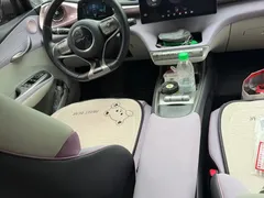 2021 BYD Dolphin EV 405km Freedom — фото 8