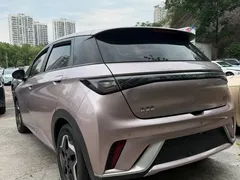 2021 BYD Dolphin EV 405km Freedom — фото 10