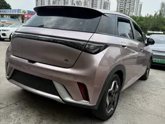 2021 BYD Dolphin EV 405km Freedom — фото 11